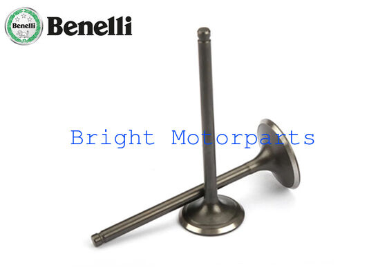 Motorcycle Engine Valve Set Motorcycle Genuine Parts For Benelli TNT250 BN250 BJ250